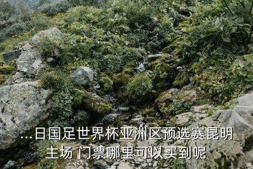 ...日國(guó)足世界杯亞洲區(qū)預(yù)選賽昆明主場(chǎng) 門票哪里可以買到呢