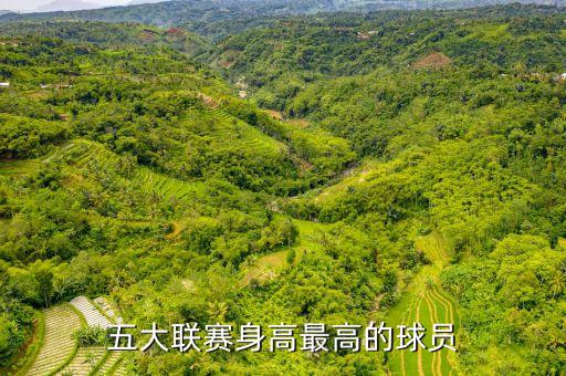 五大聯(lián)賽身高最高的球員