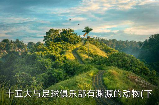 中國國家足球隊(duì)吉祥物,足球隊(duì)吉祥物圖片大全