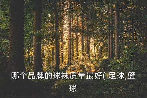 哪個(gè)品牌的球襪質(zhì)量最好( 足球,籃球