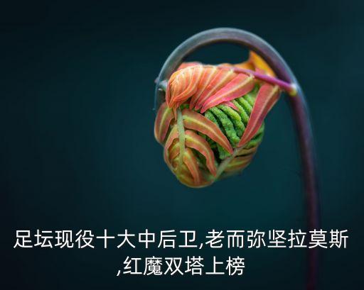 足球員的照片 馬吉奧