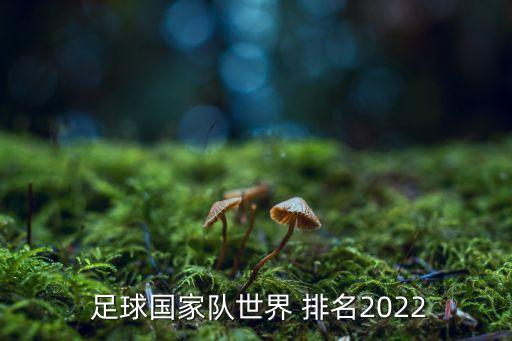  足球國家隊世界 排名2022