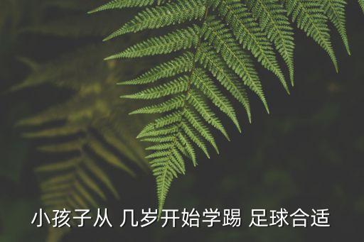 小孩子從 幾歲開(kāi)始學(xué)踢 足球合適