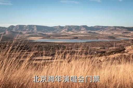 北京跨年演唱會(huì)門票
