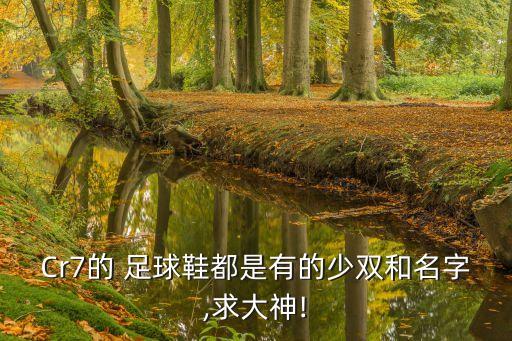 Cr7的 足球鞋都是有的少雙和名字,求大神!