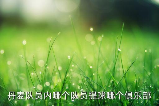 哥本哈根足球隊奪冠