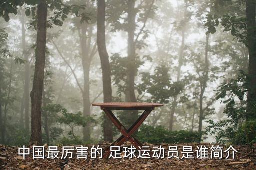 中國最厲害的 足球運動員是誰簡介
