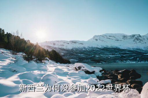  新西蘭為何沒參加2022世界杯