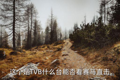 這個(gè)是TVB什么臺(tái)能否看賽馬直擊