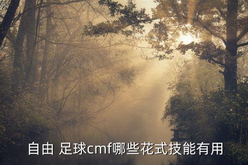 自由 足球cmf哪些花式技能有用
