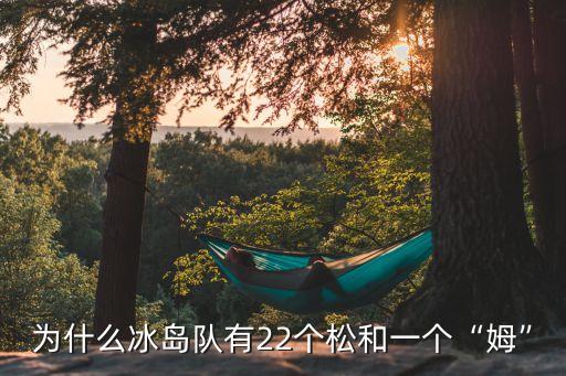 為什么冰島隊(duì)有22個(gè)松和一個(gè)“姆”