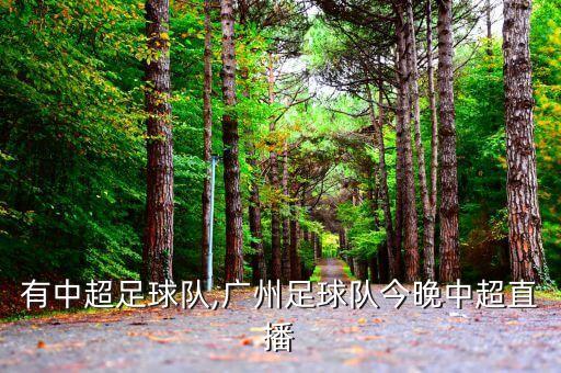 湖南有中超足球隊,廣州足球隊今晚中超直播