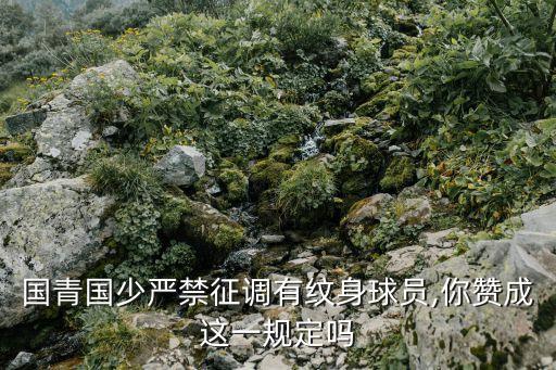 我們的足球夢(mèng)視頻,足球夢(mèng)舞蹈視頻