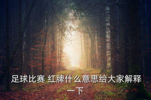  足球比賽 紅牌什么意思給大家解釋一下