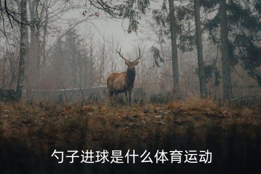  勺子進(jìn)球是什么體育運(yùn)動