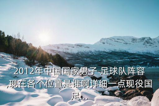 2012年中國(guó)國(guó)家男子 足球隊(duì)陣容,現(xiàn)在各個(gè)位置是誰啊詳細(xì)一點(diǎn)現(xiàn)役國(guó)足...