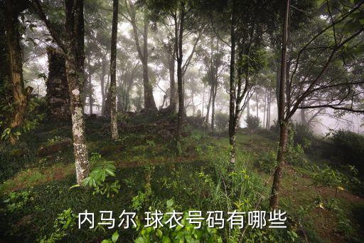 內(nèi)馬爾 球衣號碼有哪些