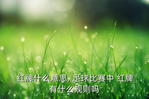 足球裁判給自己紅牌