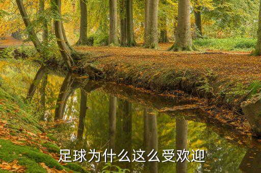  足球為什么這么受歡迎