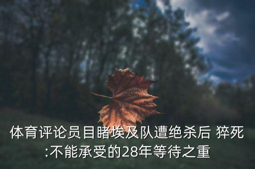 體育評論員目睹埃及隊遭絕殺后 猝死:不能承受的28年等待之重