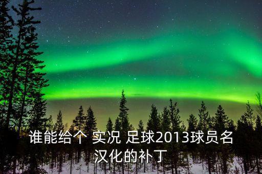 誰能給個 實況 足球2013球員名漢化的補丁