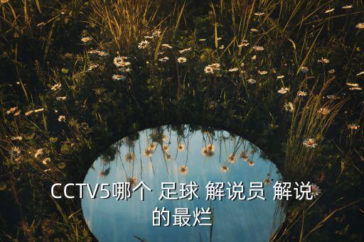 CCTV5哪個(gè) 足球 解說員 解說的最爛