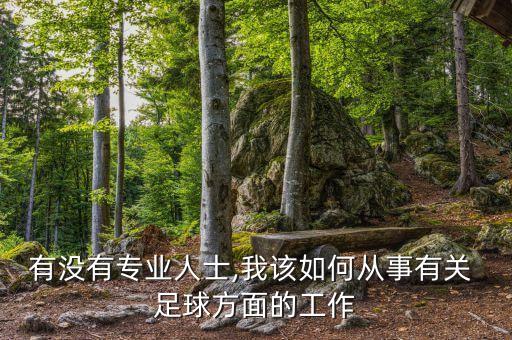 足球編輯薪水,足球薪水排行榜2022