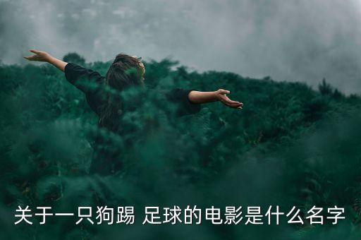 關(guān)于一只狗踢 足球的電影是什么名字