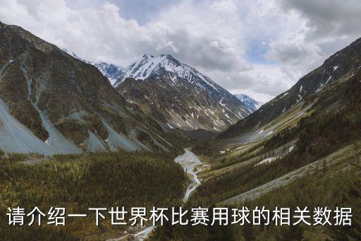 請(qǐng)介紹一下世界杯比賽用球的相關(guān)數(shù)據(jù)