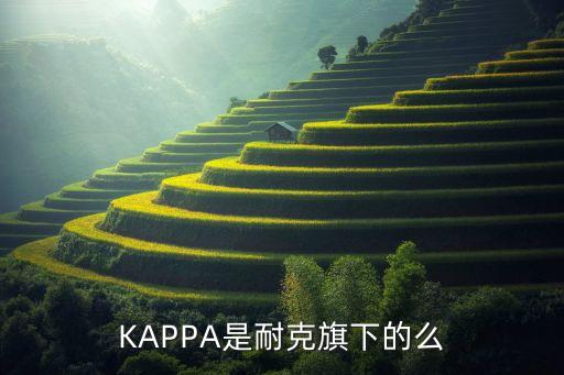 KAPPA是耐克旗下的么