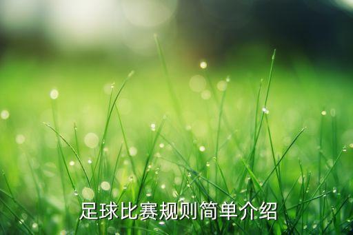  足球比賽規(guī)則簡單介紹