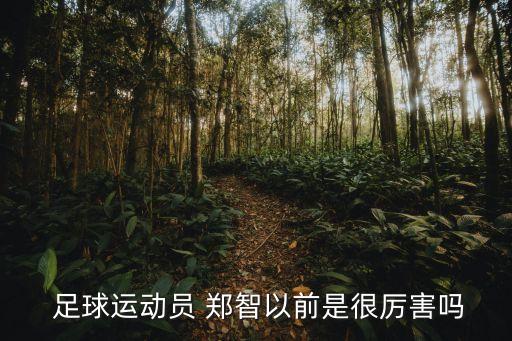 足球運(yùn)動員 鄭智以前是很厲害嗎