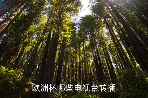 歐洲杯哪些電視臺轉播