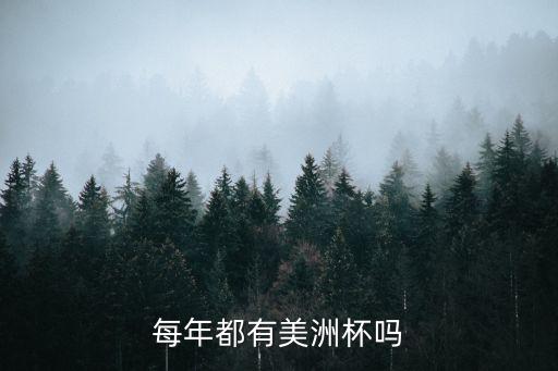 南美足球有幾個(gè)賽事