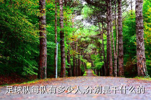 足球隊(duì)每隊(duì)有多少人,分別是干什么的