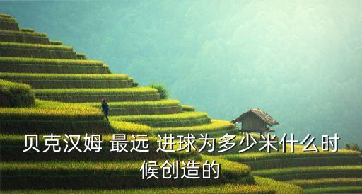 最遠(yuǎn)足球進(jìn)球視頻,韓國(guó)足球?qū)O興慜進(jìn)球視頻