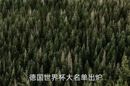  德國世界杯大名單出爐