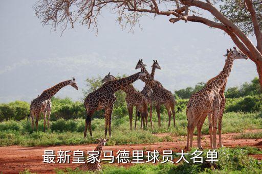 brazil足球俱樂(lè)部,拉科魯尼亞足球俱樂(lè)部