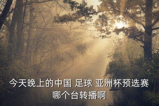 今天晚上的中國 足球 亞洲杯預(yù)選賽哪個(gè)臺(tái)轉(zhuǎn)播啊