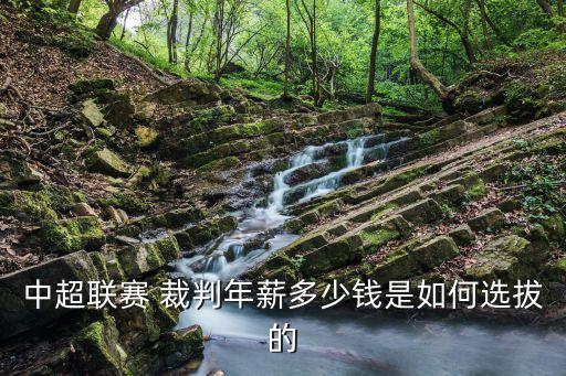 中超聯(lián)賽 裁判年薪多少錢是如何選拔的