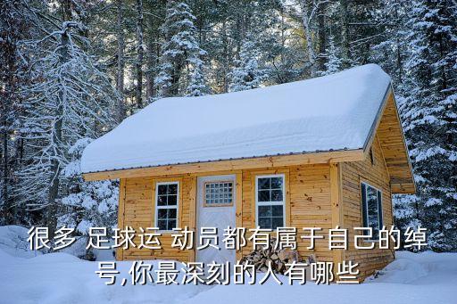 很多 足球運(yùn) 動員都有屬于自己的綽號,你最深刻的人有哪些