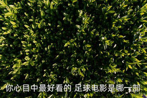 足球之夜 這就是足球,天下足球和足球之夜哪個好看