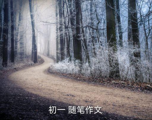 中國足球隨筆