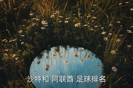 沙特和 阿聯(lián)酋 足球排名