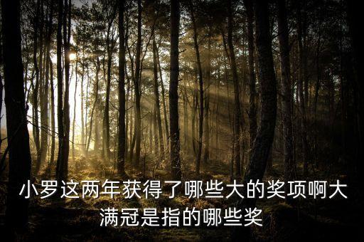  小羅這兩年獲得了哪些大的獎(jiǎng)項(xiàng)啊大滿冠是指的哪些獎(jiǎng)