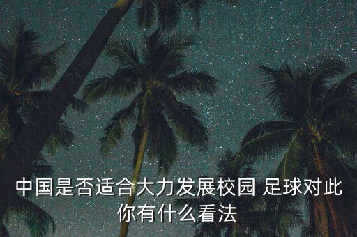 中國是否適合大力發(fā)展校園 足球對此你有什么看法