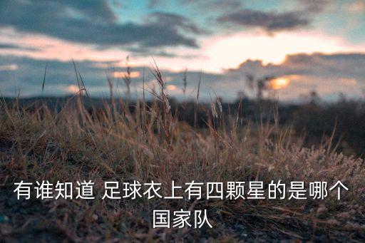 有誰知道 足球衣上有四顆星的是哪個國家隊
