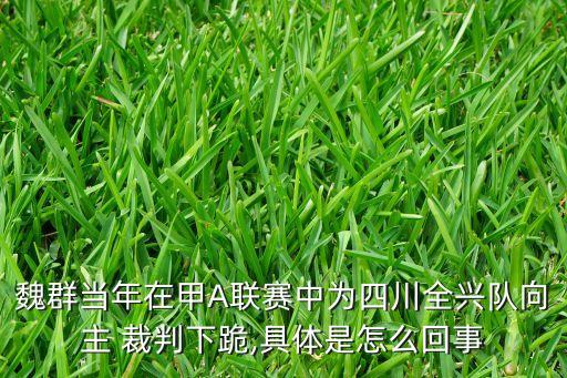 魏群當年在甲A聯(lián)賽中為四川全興隊向主 裁判下跪,具體是怎么回事