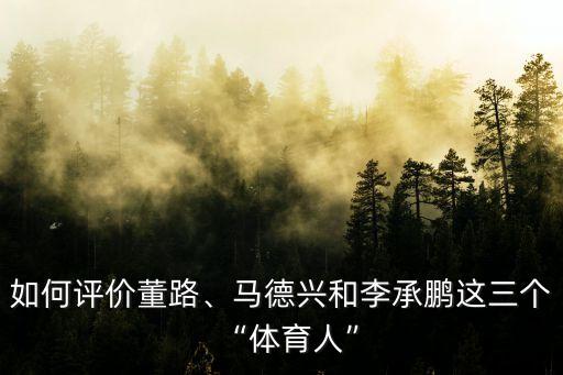 如何評(píng)價(jià)董路、馬德興和李承鵬這三個(gè)“體育人”