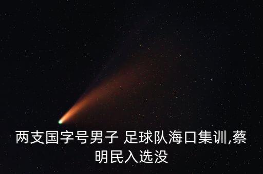 兩支國字號男子 足球隊?？诩?蔡明民入選沒